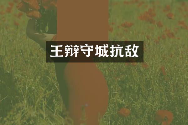 王辩守城抗敌