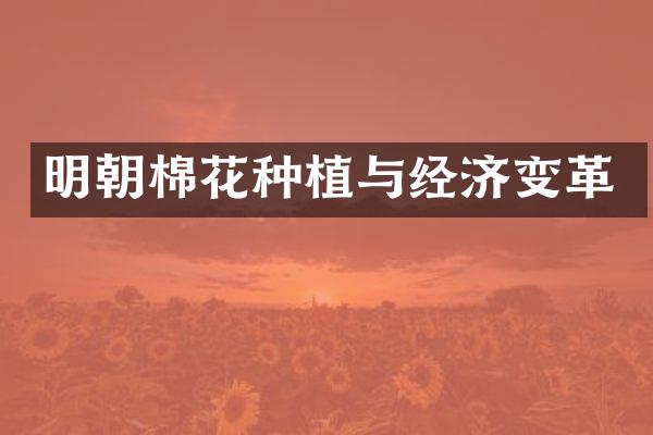 明朝棉花种植与经济变革