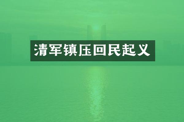 清军镇压回民起义