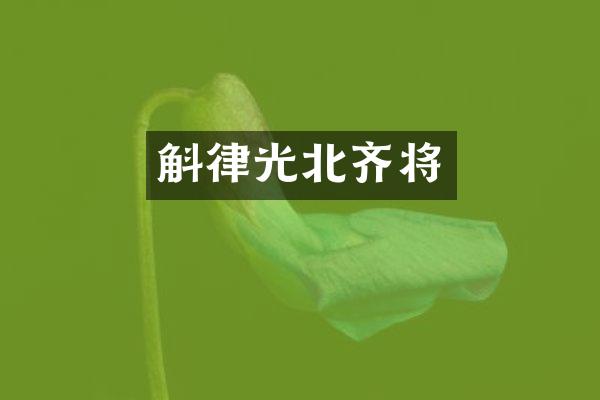 斛律光北齐将