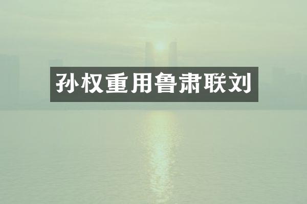 孙权重用鲁肃联刘