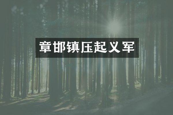 章邯镇压起义军
