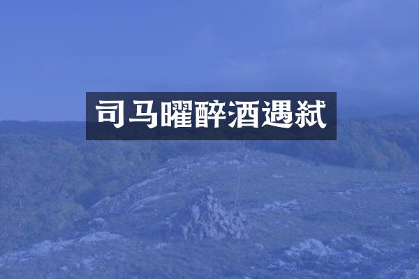 司马曜醉酒遇弑