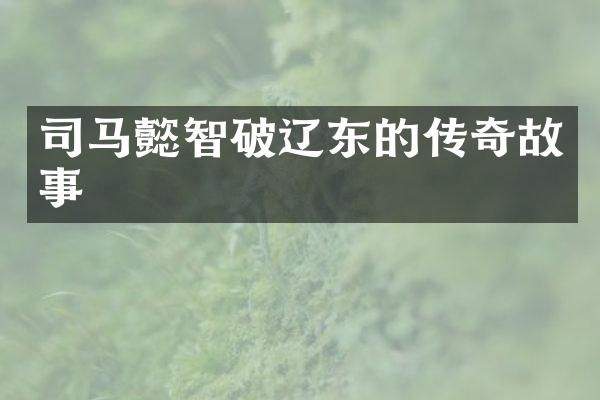 司马懿智破辽东的传奇故事