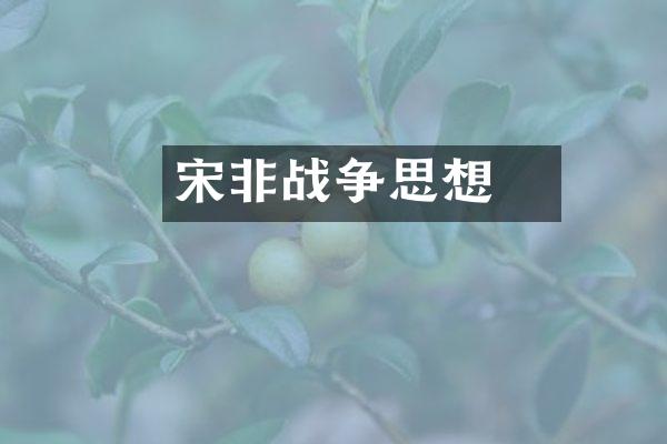 宋钘非战争思想