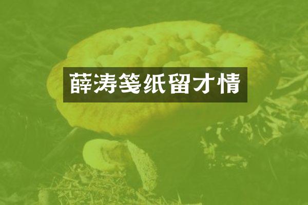 薛涛笺纸留才情