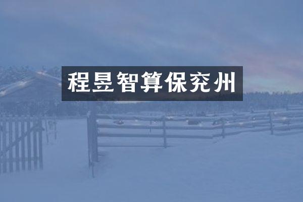 程昱智算保兖州