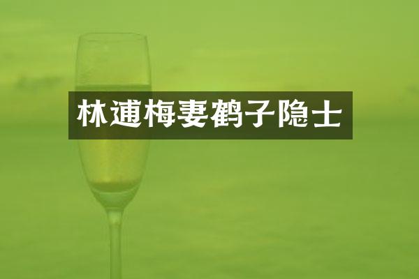 林逋梅妻鹤子隐士