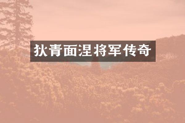 狄青面涅将军传奇