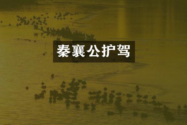 秦襄公护驾