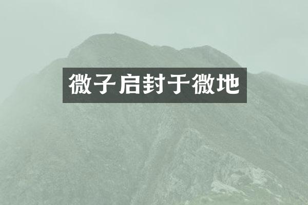 微子启封于微地
