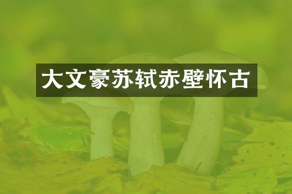大文豪苏轼赤壁怀古