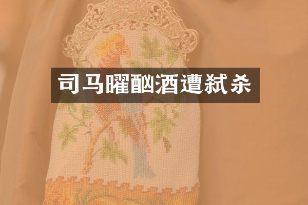 司马曜酗酒遭弑杀