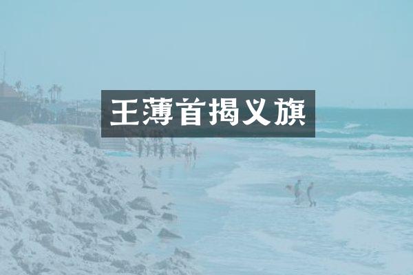 首揭义旗