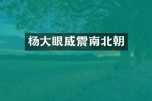 杨大眼威震南北朝