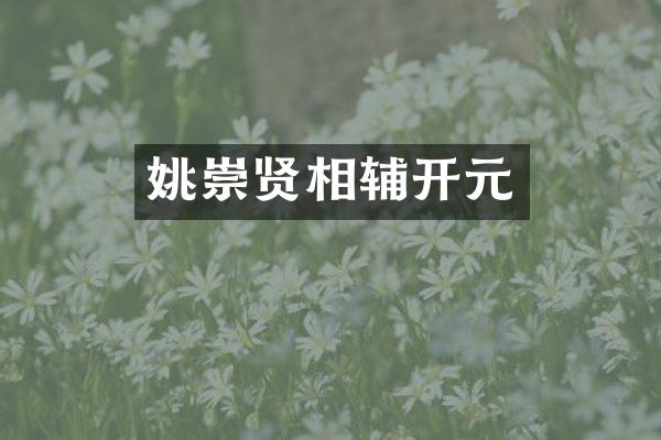 姚崇贤相辅开元