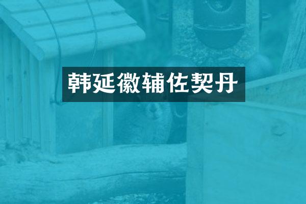 韩延徽辅佐契丹