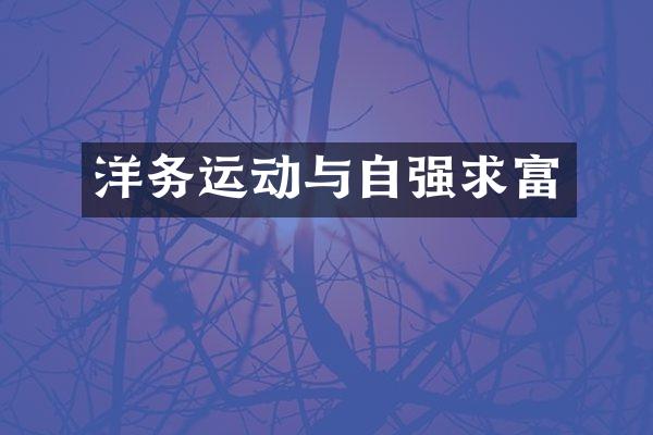 洋务运动与自强求富