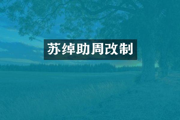 苏绰助周改制