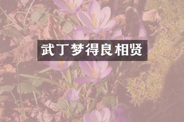 武丁梦得良相贤