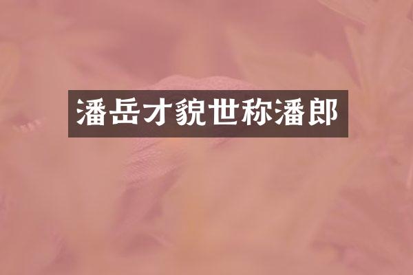 潘岳才貌世称潘郎