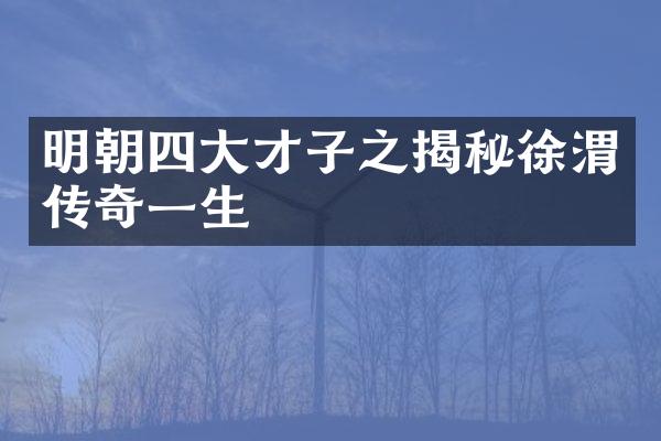 明朝四大才子之揭秘徐渭传奇一生