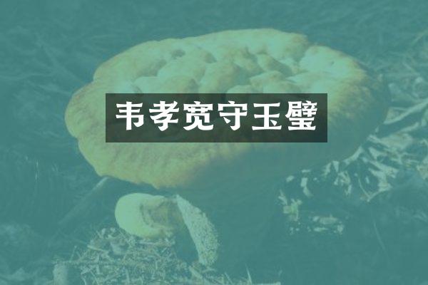 韦孝宽守玉璧