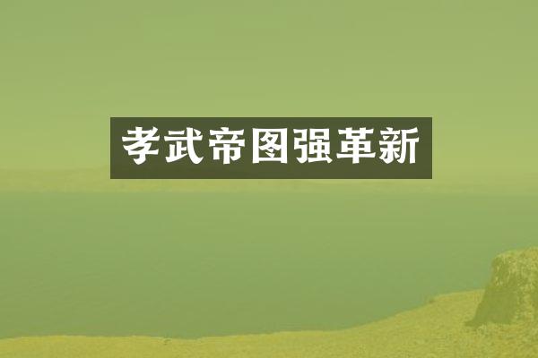 孝武帝图强革新