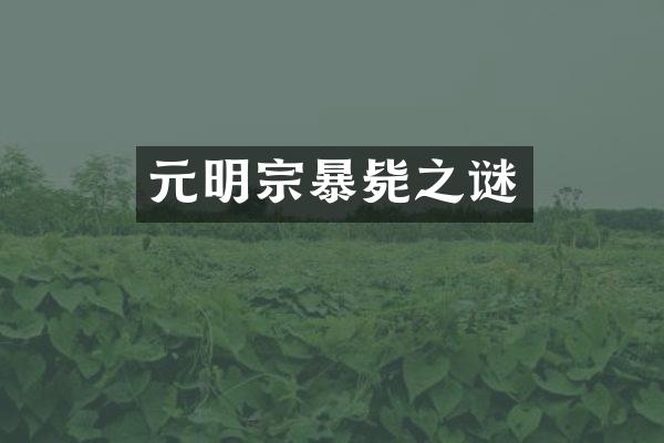 元明宗暴毙之谜