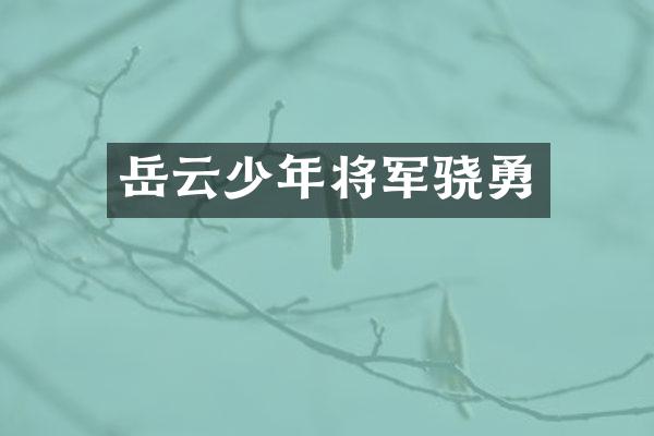 岳云少年将军骁勇