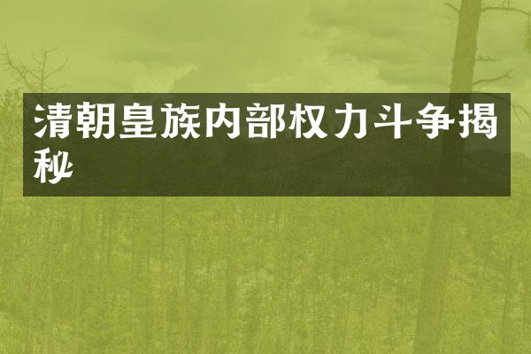 清朝皇族内部权力斗争揭秘