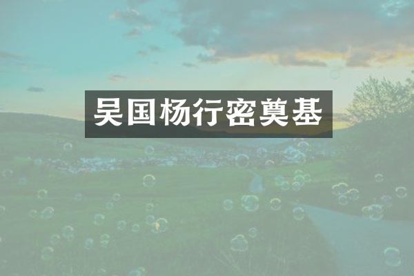 吴国杨行密奠基