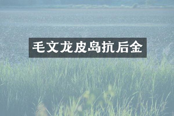 毛文龙皮岛抗后金