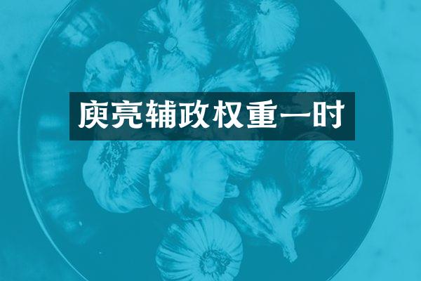 庾亮辅政权重一时