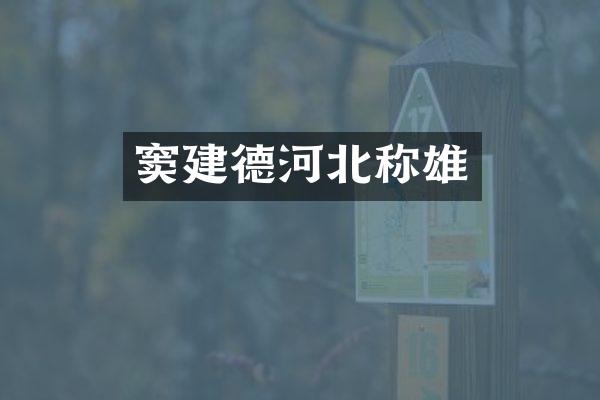 窦建德河北称雄