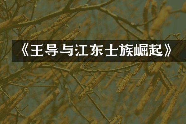 《王导与江东士族崛起》