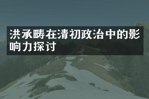 洪承畴在清初政治中的影响力探讨