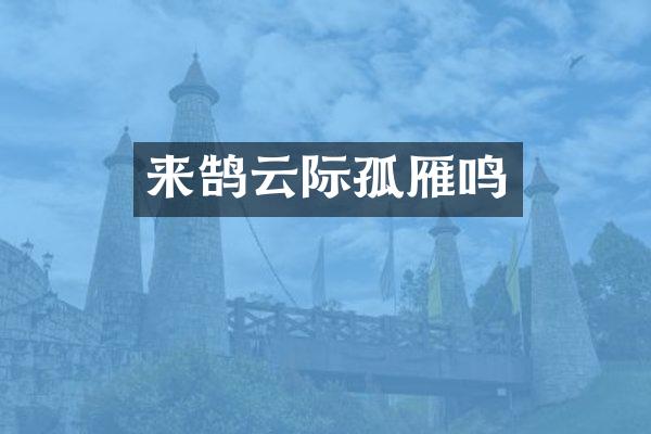 来鹄云际孤雁鸣