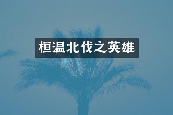 桓温北伐之英雄