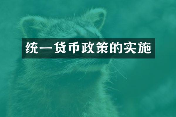 统一货币政策的实施