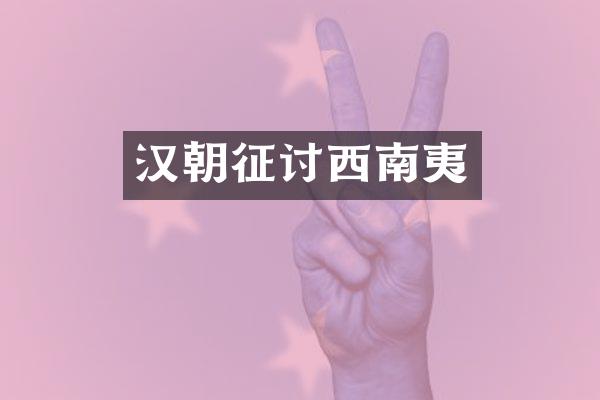 汉朝征讨西南夷