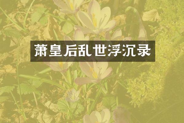 萧皇后乱世浮沉录