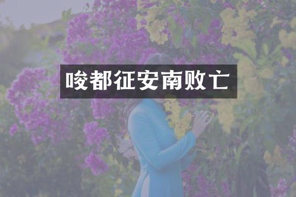 唆都征安南败亡