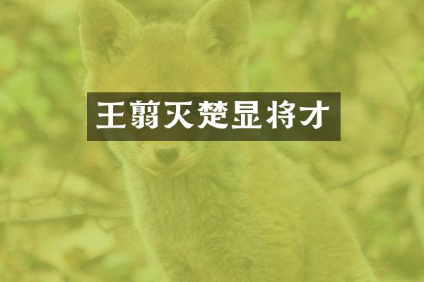 王翦灭楚显将才