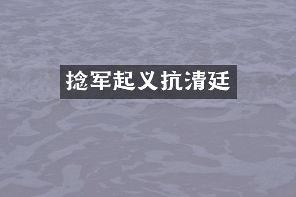 捻军起义抗清廷
