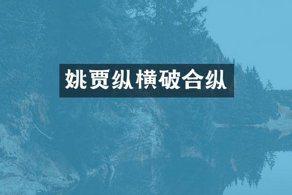 姚贾纵横破合纵