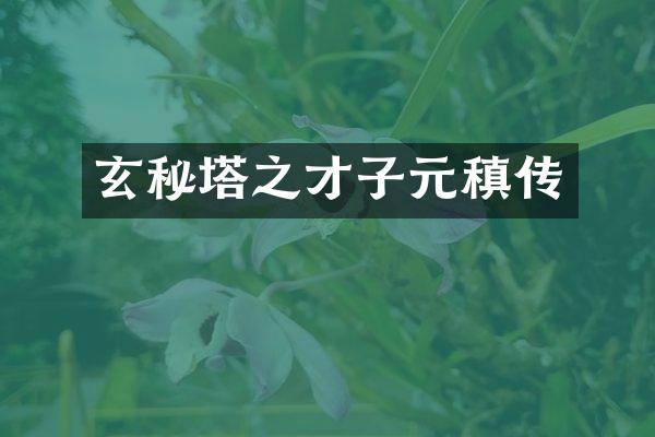 玄秘塔之才子元稹传