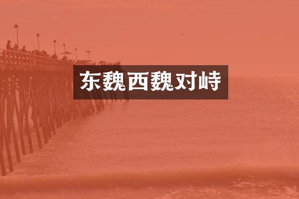 东魏西魏对峙