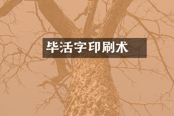 毕昇活字印刷术