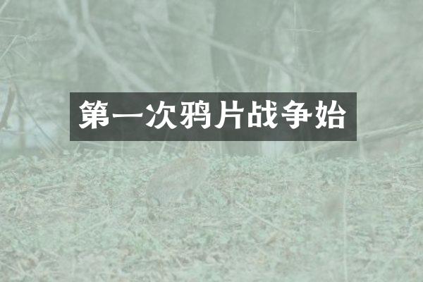 第一次战争始